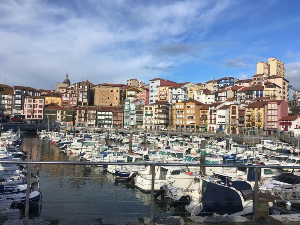 Apartamentos Urdaibai 2 베르메오 외부 사진